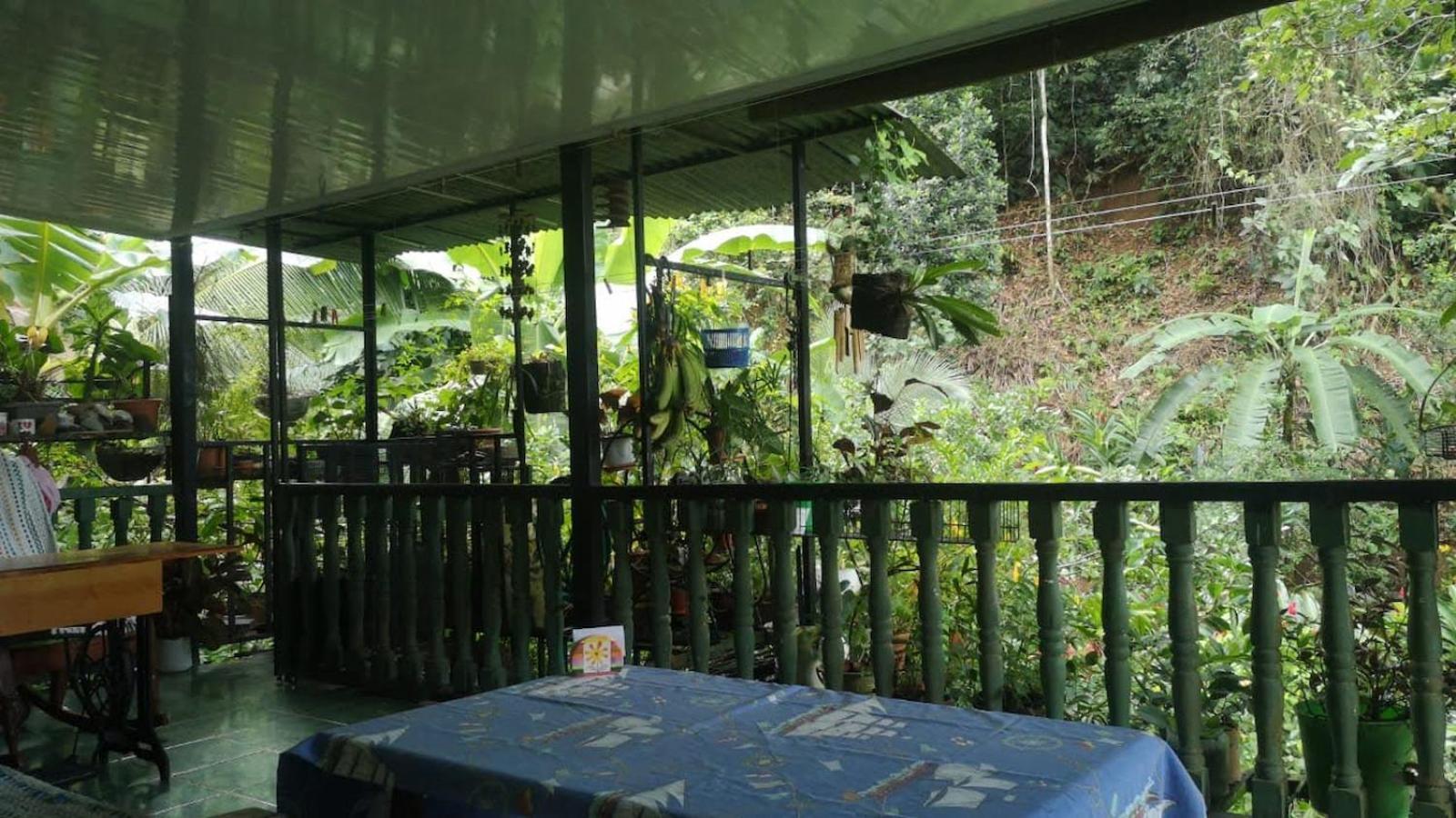 Golfito Maison D'Hotes Dış mekan fotoğraf